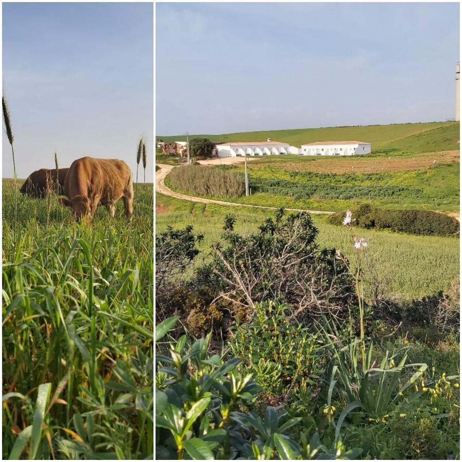 Monte Bagao - Turismo Rural Vila do Bispo Zewnętrze zdjęcie